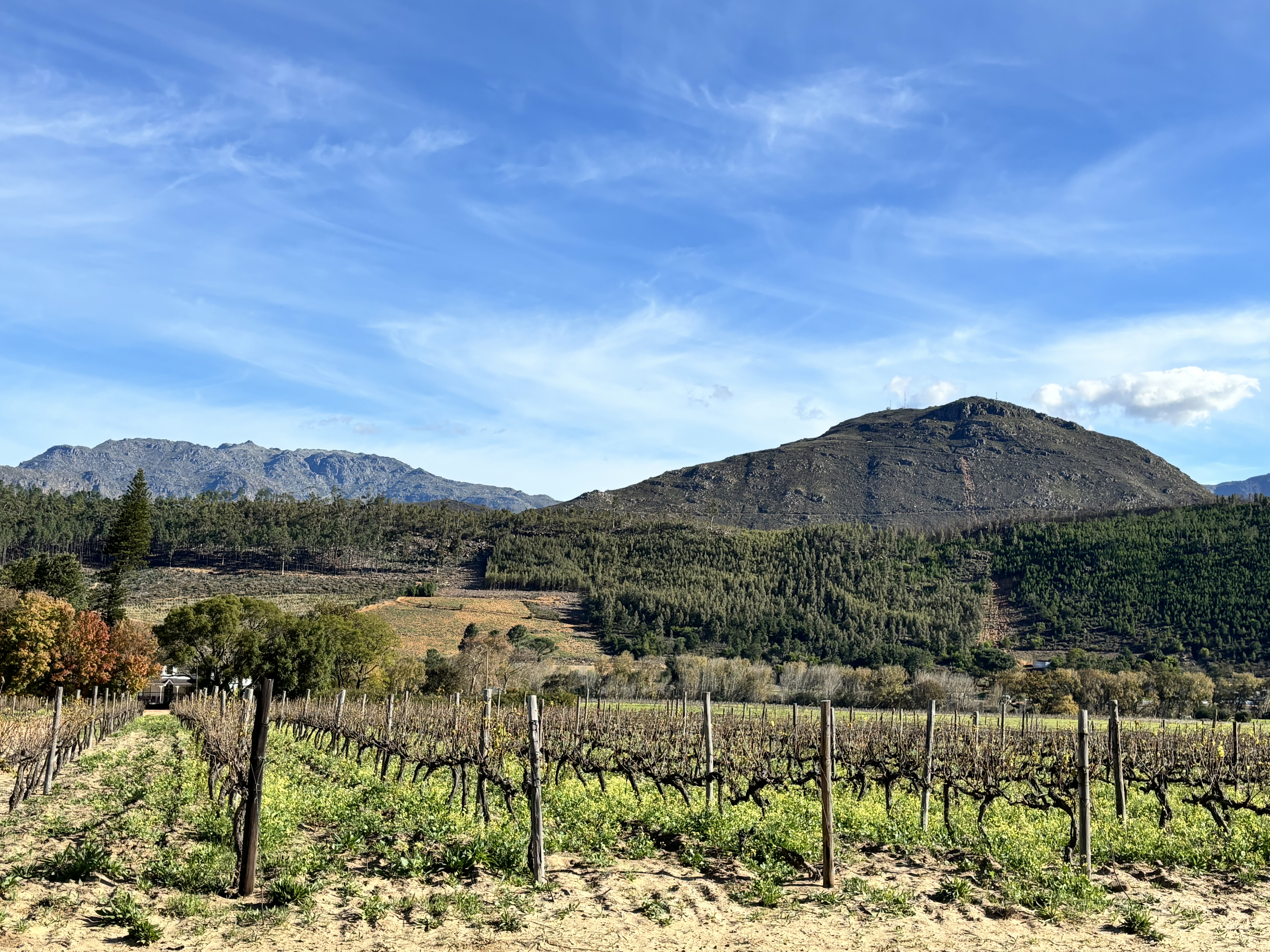 AOC(Appellation d'Origine Contrôlée)